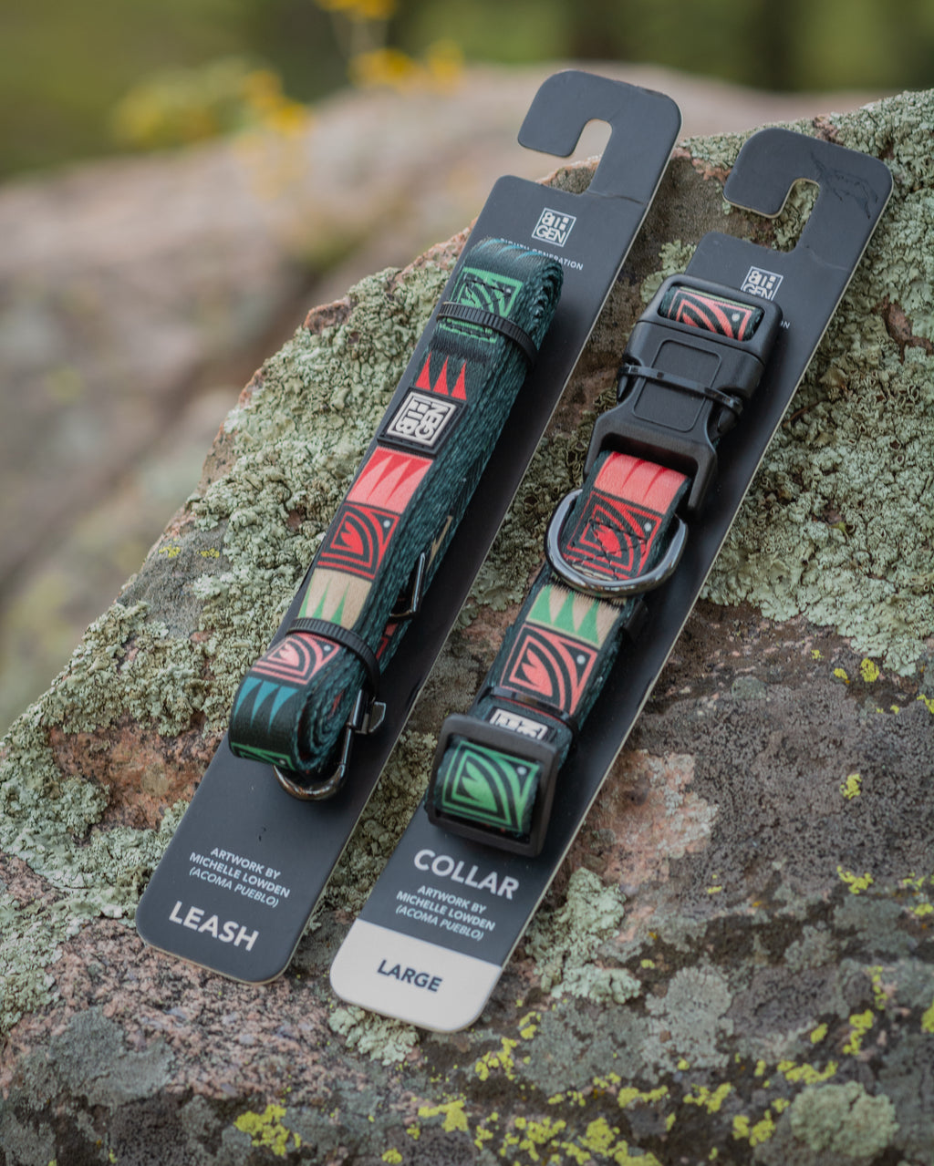 Desert Night Dog Leash