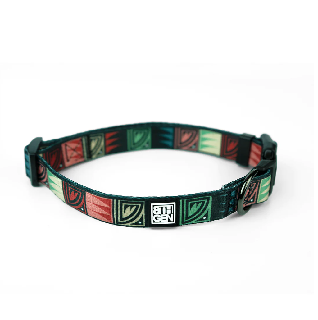 Desert Night Pet Collar