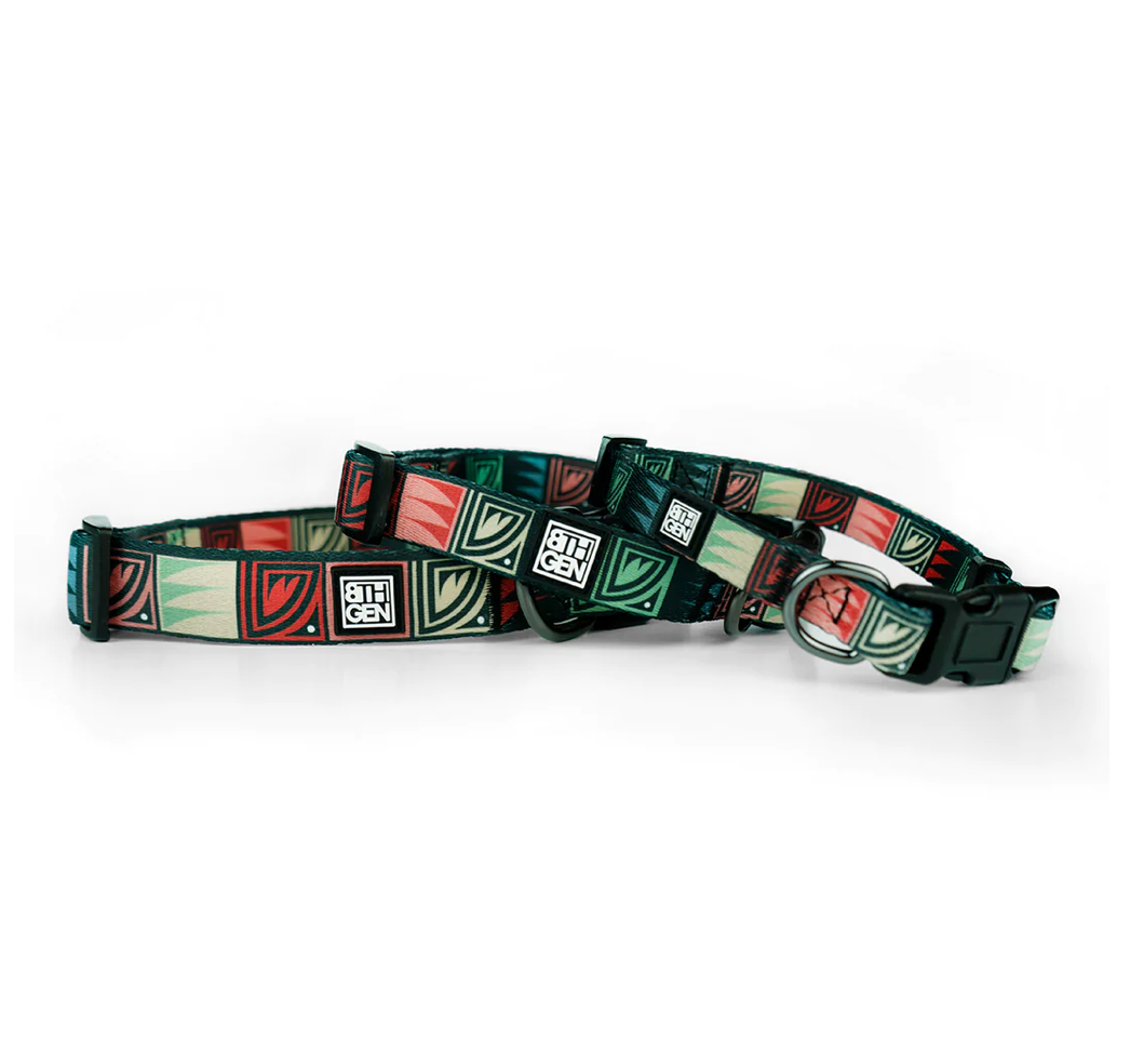 Desert Night Pet Collar