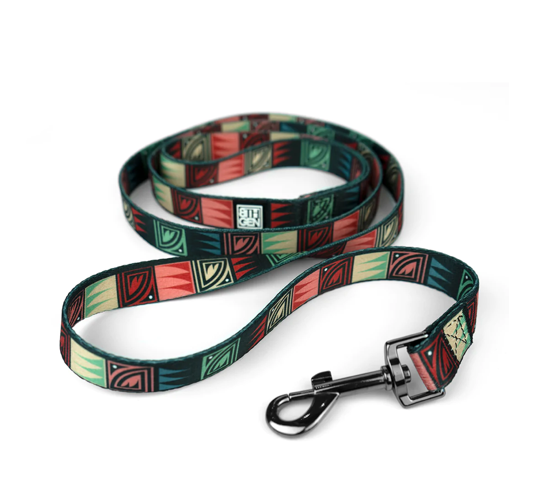 Desert Night Dog Leash